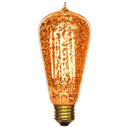 ST64 Golden Fleck Antique Edison bulbs